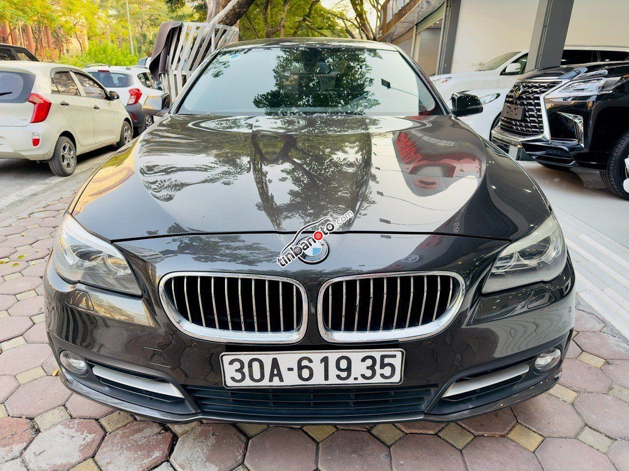 ban oto Nhap khau BMW 520i  2014